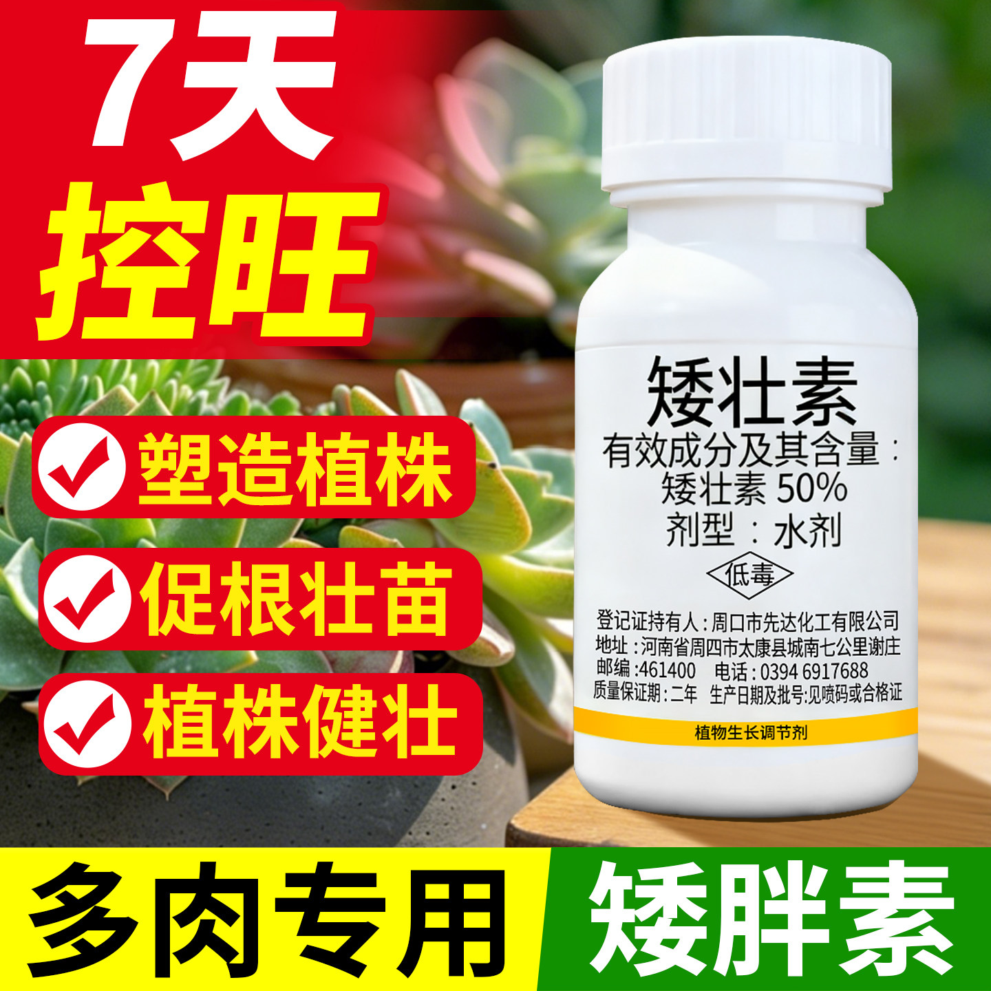 【7天控旺】多肉专用矮胖素