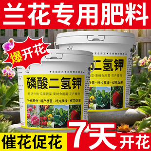 兰花专用肥料磷酸二氢钾君子兰蝴蝶兰磷钾肥花肥家用通用型复合肥