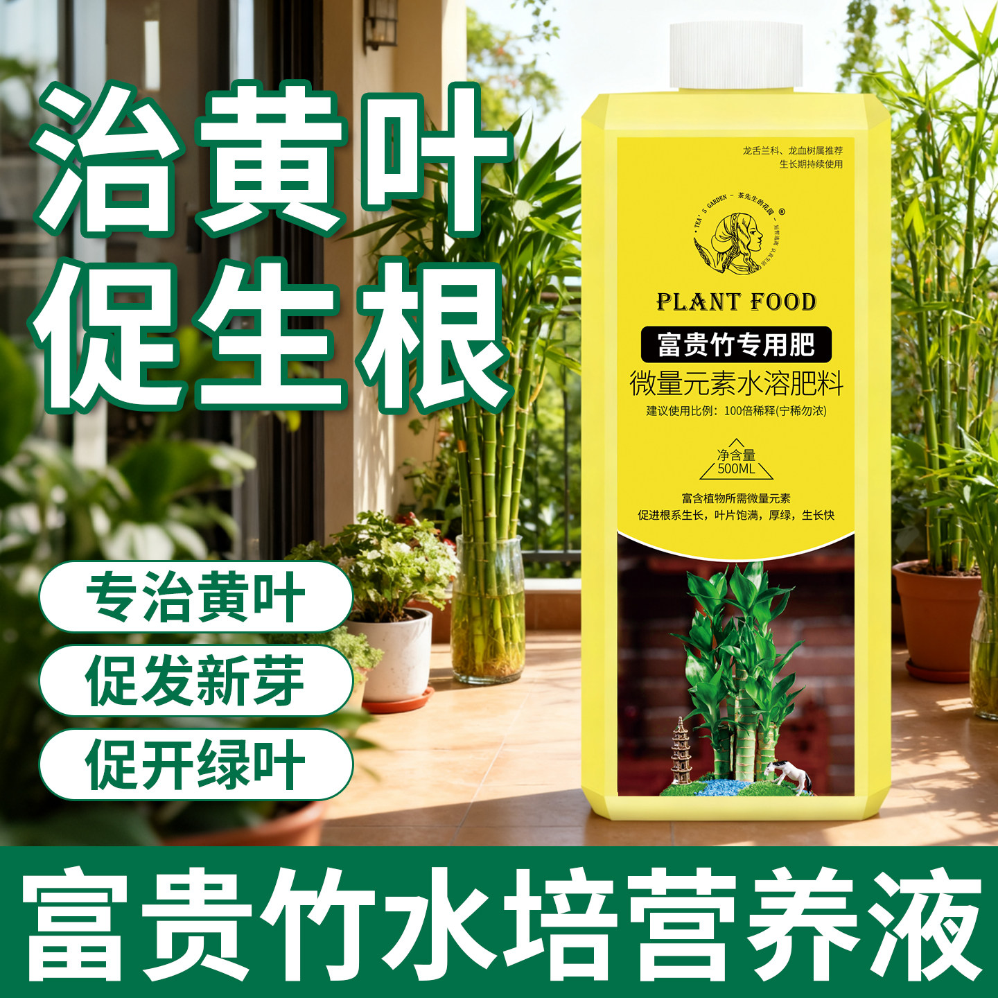 富贵竹专用营养液治叶子发黄肥料水培植物液体肥治黄叶促生根绿叶,鲜花速递/花卉仿真/绿植园艺,家庭园艺肥料,淘宝优惠券,粉丝福利购,淘宝优惠卷