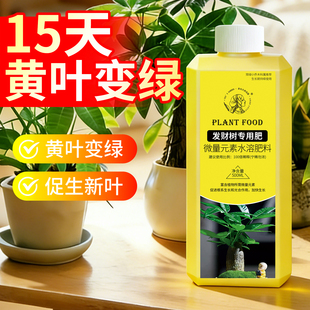 发财树专用营养液氮磷钾复合肥肥料花卉绿植用花肥叶子黄了怎么办