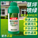 草坪增绿剂足球场人造草皮绿地绿化带景观急救变绿色专用染色剂