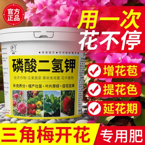 【小贵！三角梅专用开花肥】