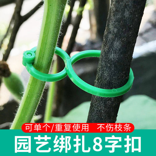 园艺8字扣植物捆绑扎带