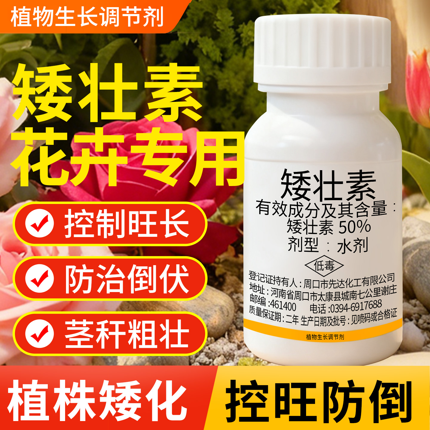 【花卉专用水仙蔬菜】矮壮素