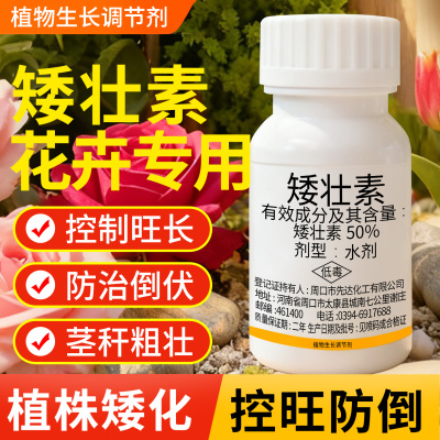 【花卉专用水仙蔬菜】矮壮素