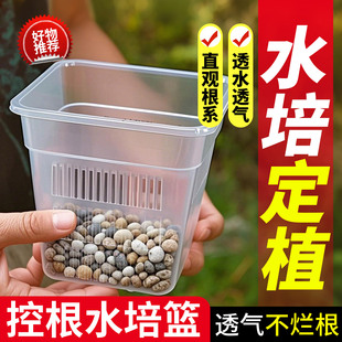 鱼缸水培定植篮火山石定植水草定植器神水竹铜钱草龟缸植物定植篮