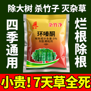 环嗪酮除草烂根剂灌木杂灌竹子环泰秦嗪臻啁哃铜硐锄草剂正品农药