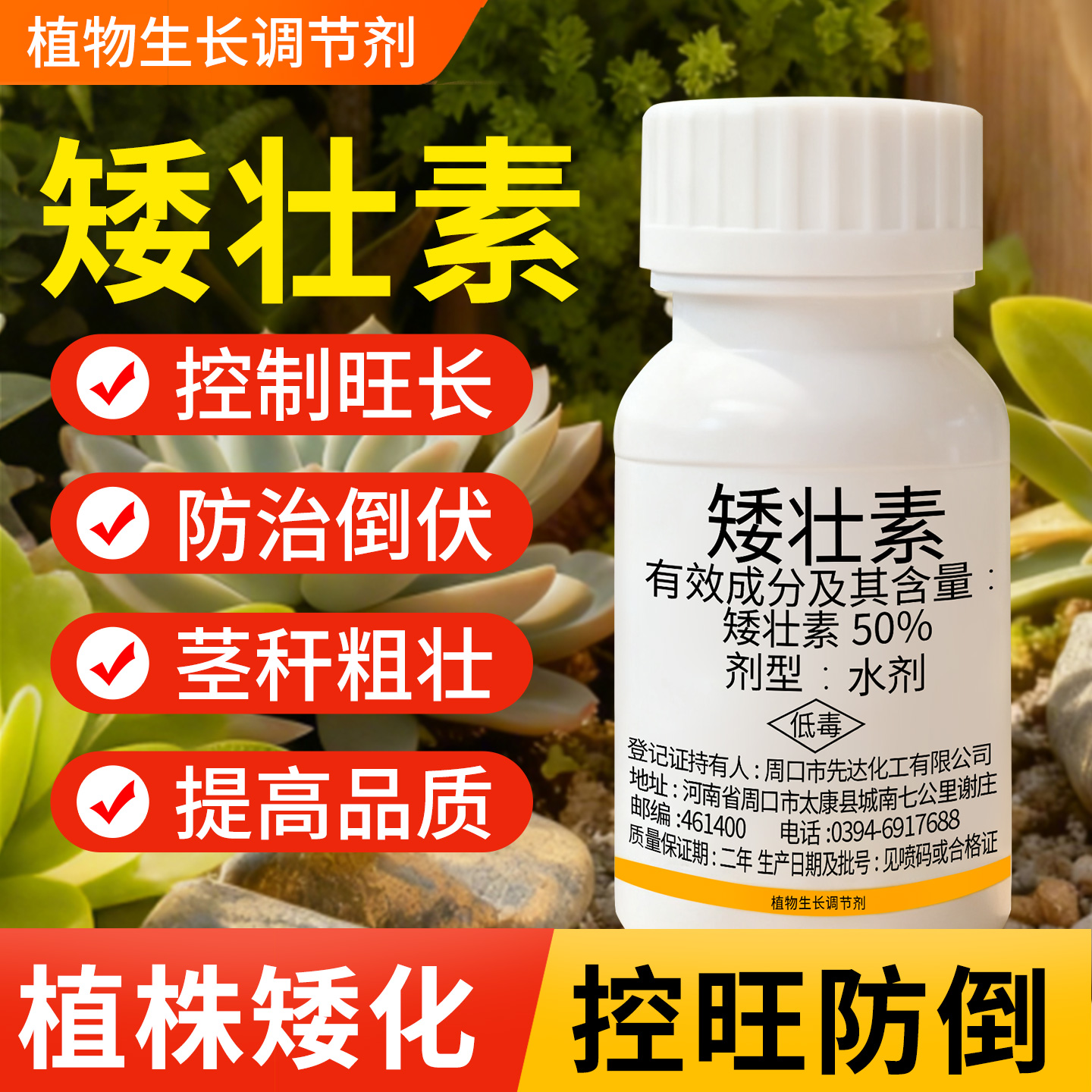 【矮壮素控旺抗倒伏】