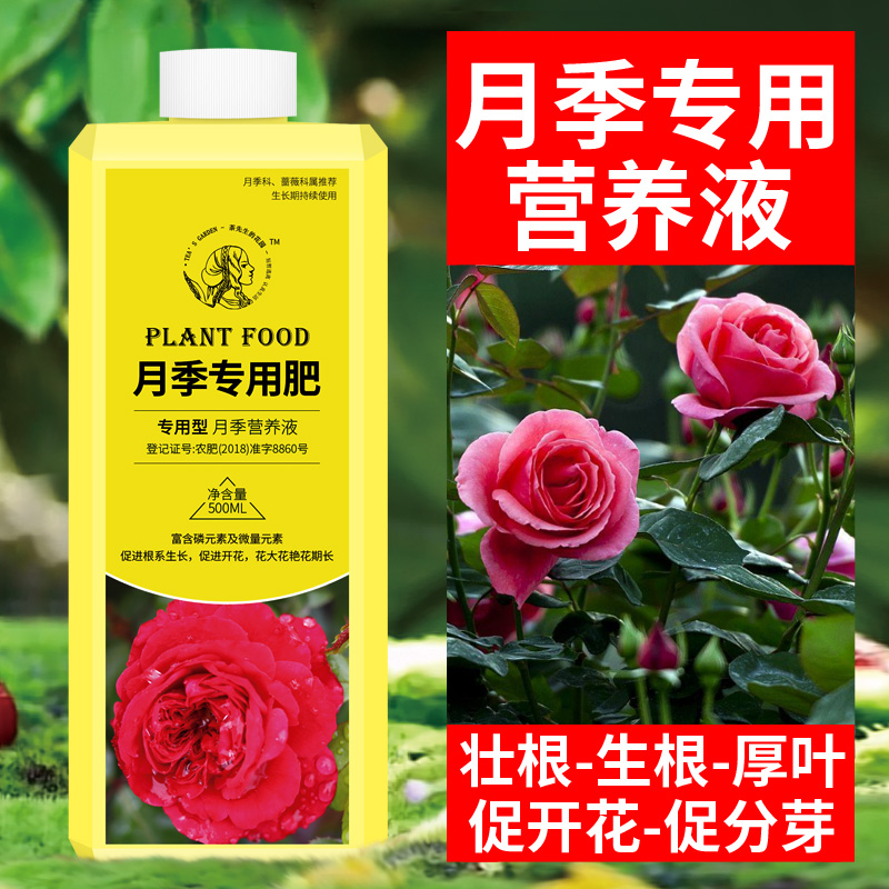 月季肥料玫瑰花营养液