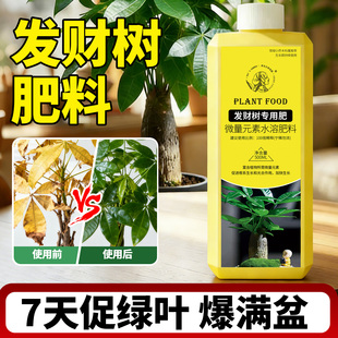 发财树肥料专用营养液叶子黄了怎么办复合肥治疗黄叶掉叶黄斑烂根