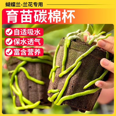 育苗杯兰花专用植料零土蝴蝶兰碳棉杯育苗基质营养土养花通用专用