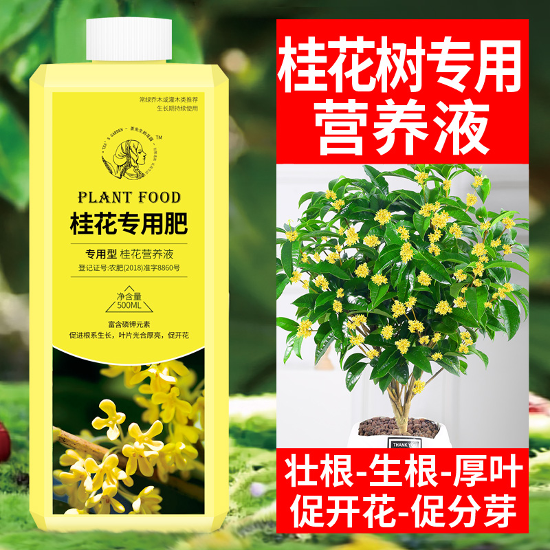 速发花桂树肥料肥移栽营养液吊针液肥料生营桂花树根养液