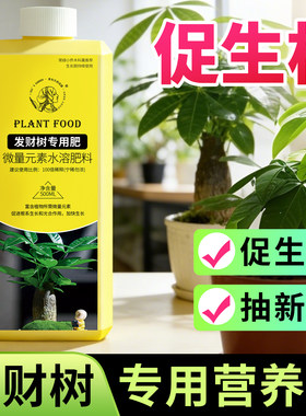 【7天促生根促绿叶】发财树专用
