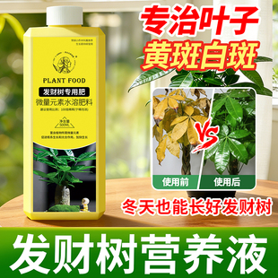 发财树专用营养液叶子发黄掉叶肥料绿植室内盆栽植物专用营养液