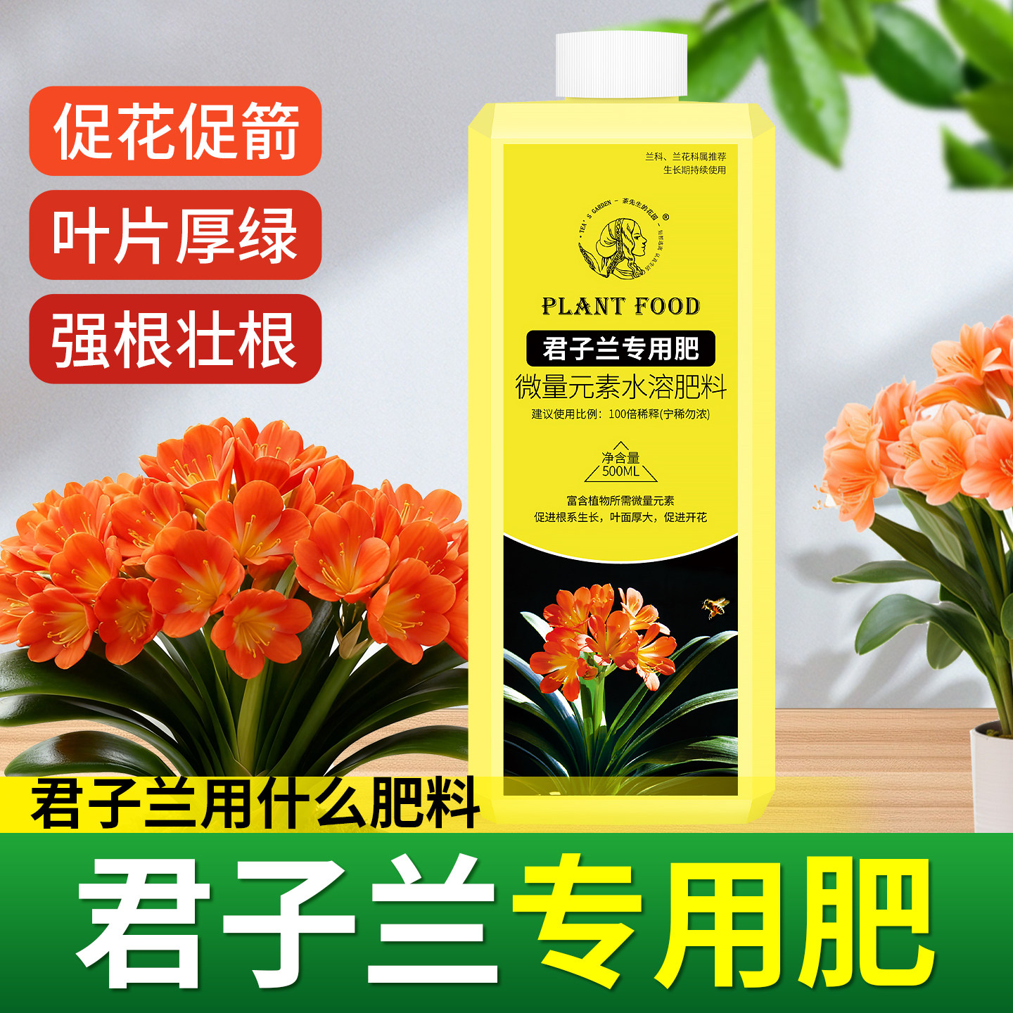 君子兰专用肥营养液植物肥料花卉绿植用促开花催花肥氮磷钾复合肥