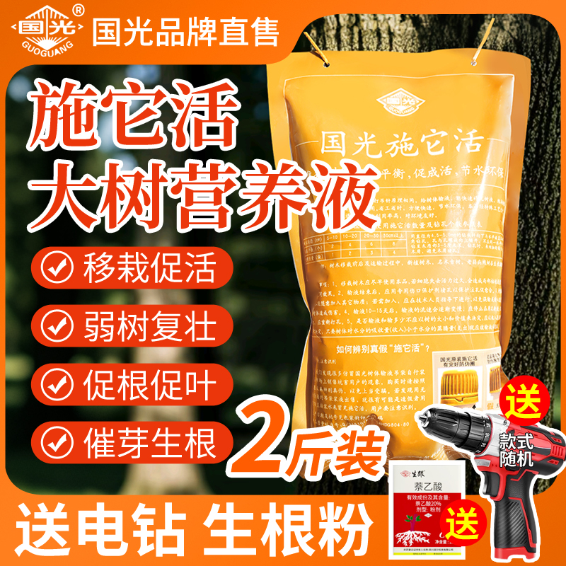 大树营养液送电钻送生根粉