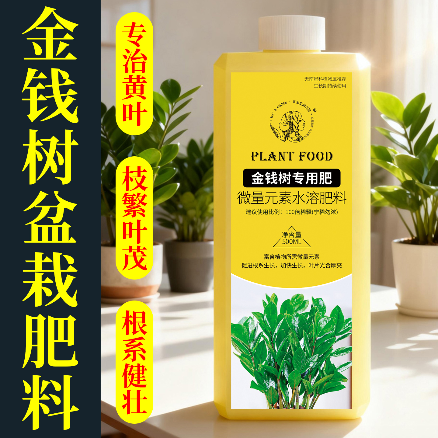 【治黄叶促绿叶】金钱树肥料