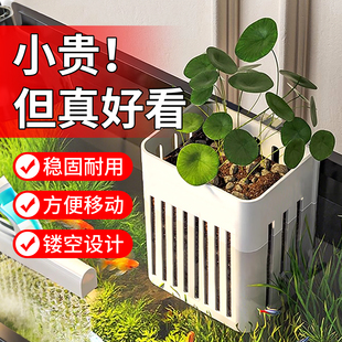 鱼缸水培定植篮龟缸器皿水竹水生植物固定挂壁方盆水草绿植壁挂篮