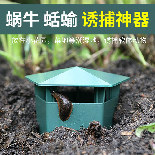 蜗牛诱捕盒盒内灭杀软体动物