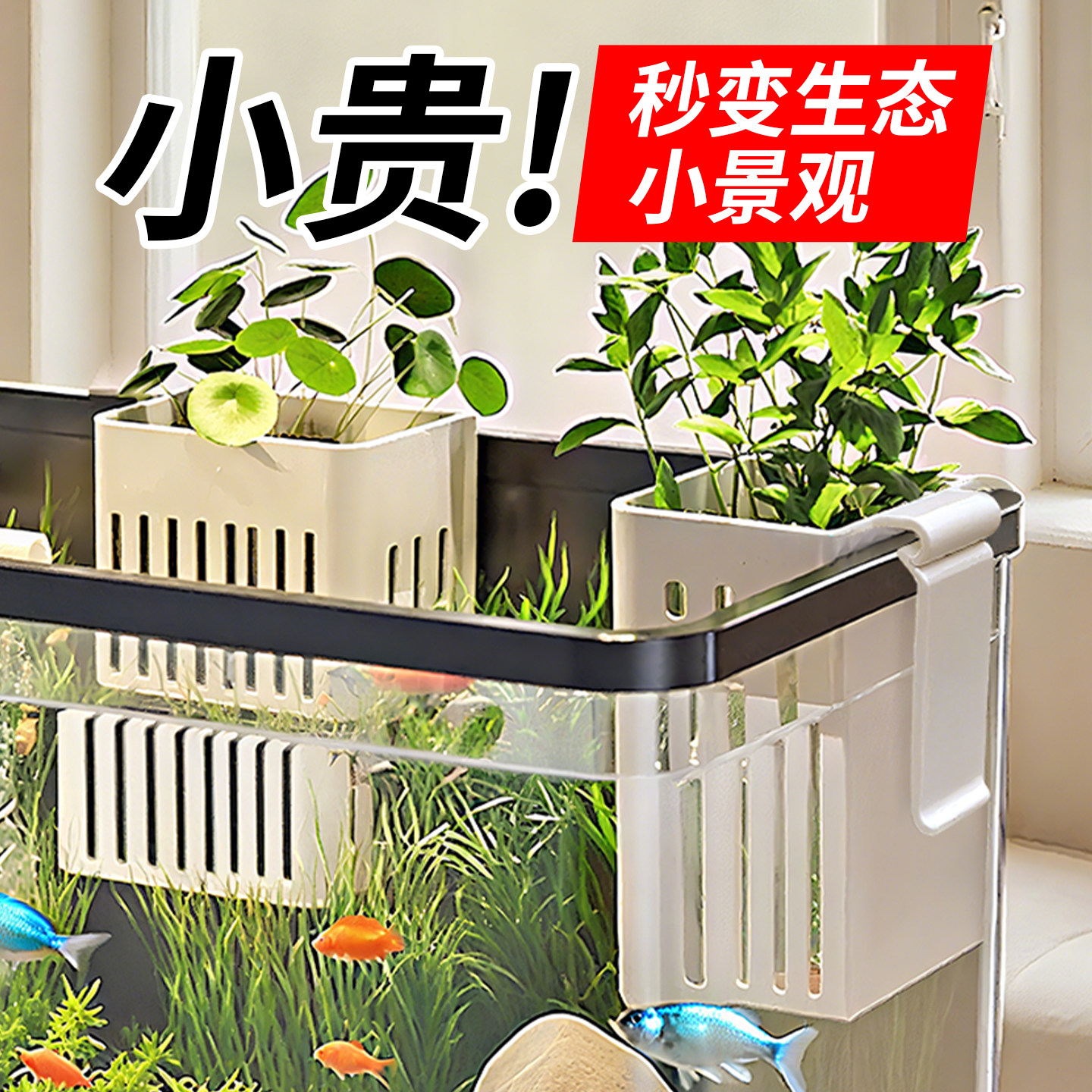鱼缸水培挂篮植物大号可调节周转箱水培固定篮长方形壁挂式定植篮,宠物/宠物食品及用品,造景/装饰,淘宝优惠券,粉丝福利购,淘宝优惠卷