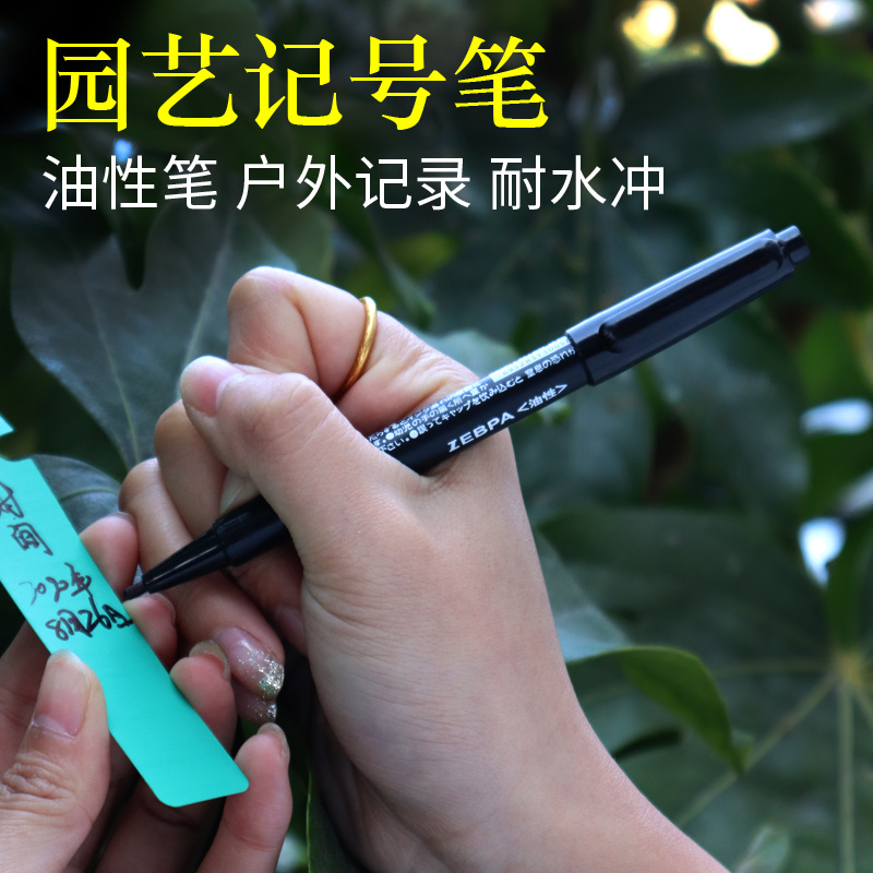 园艺双头记号笔粗细两头黑色
