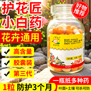 护花匠噻虫嗪小白药花卉杀虫剂月季蚜虫蚧壳虫小黑飞噻虫螓旗舰店