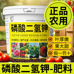 磷酸二氢钾正品 农用官方旗舰店专用花肥通用养花肥料磷钾肥复合肥