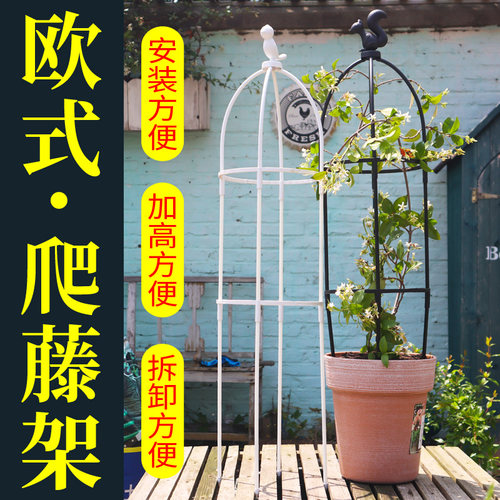 阳台花架爬藤支架月季铁线莲紫藤