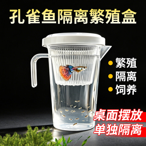 【鱼苗成活率98%】隔离繁殖盒
