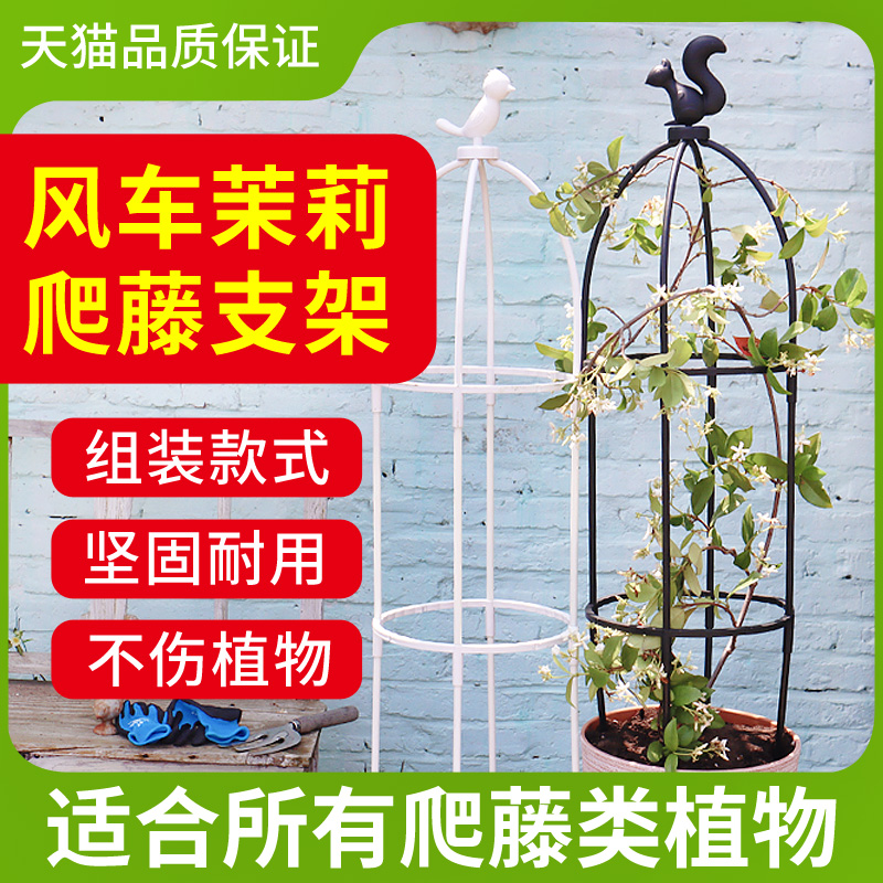 欧式风格花卉植物爬藤架