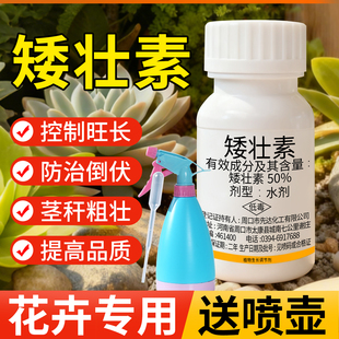 矮壮素花卉专用壮矮素水仙花矮壮剂植物通用矮胖素多肉控旺调壮素