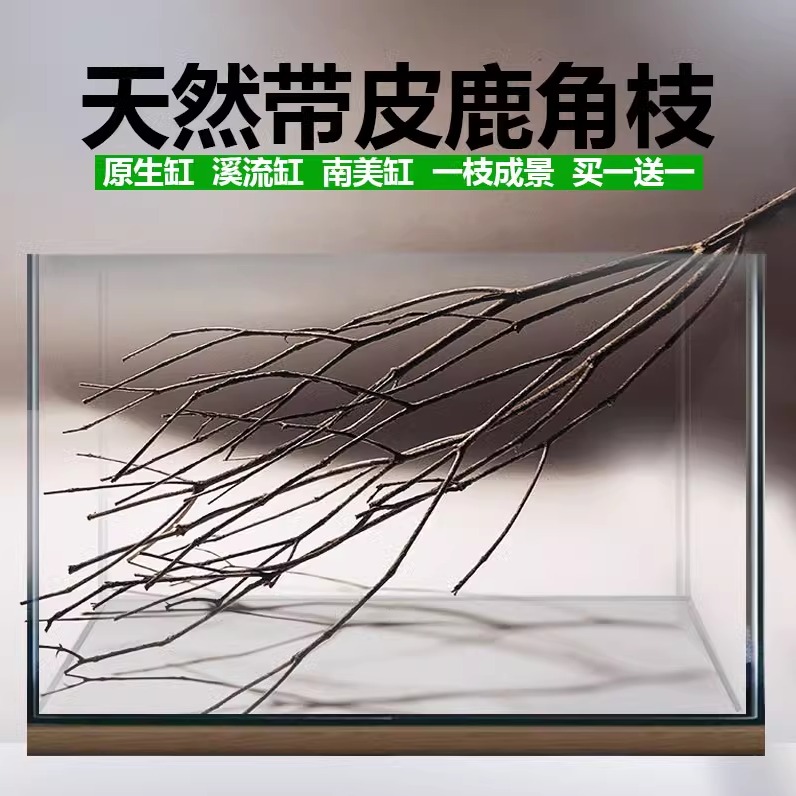 买一送一原生缸南美缸造景树枝天然精品鹿角枝鱼缸装饰一木成景