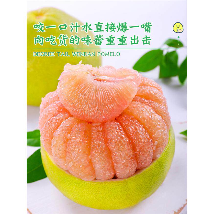 度尾文旦柚20斤新鲜水果