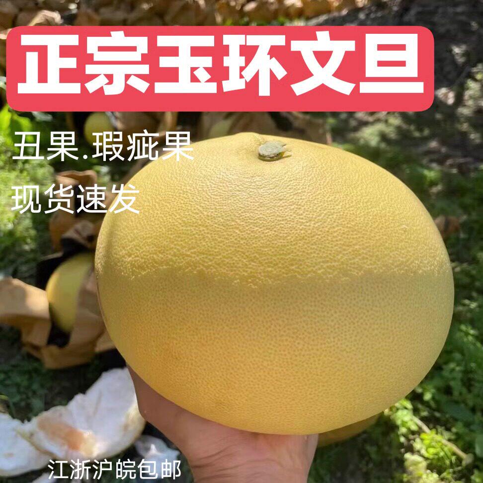 正宗玉环文旦柚子新鲜水