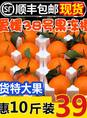 爱媛新鲜9斤现货果冻橙