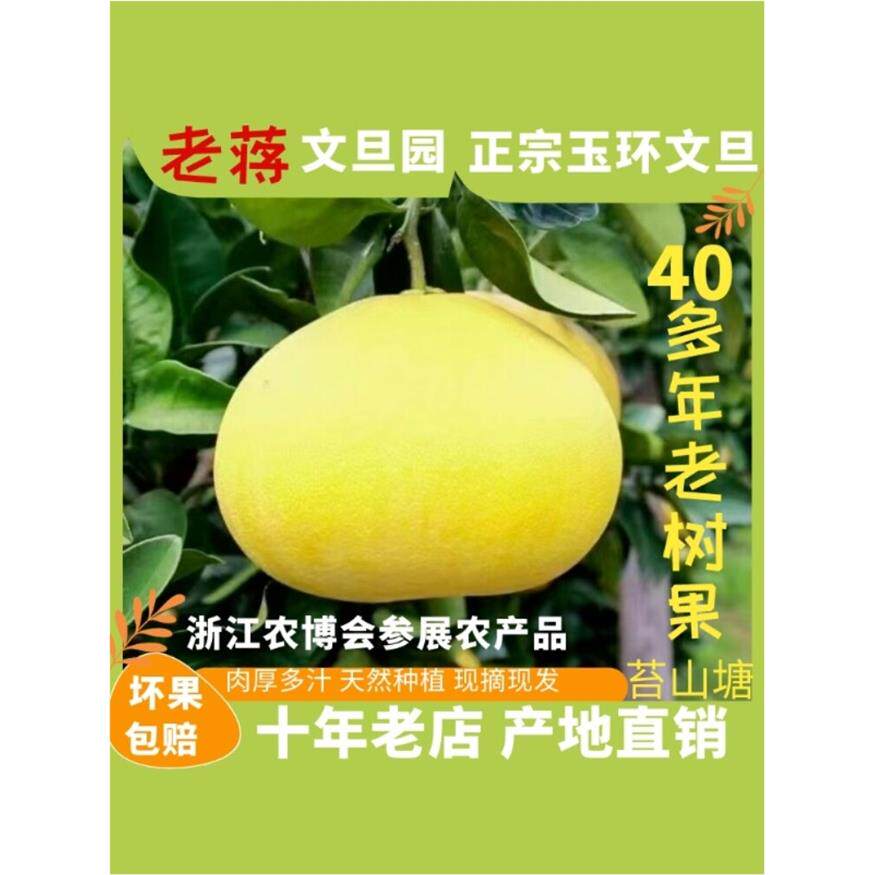 正宗浙江玉环文旦柚子50