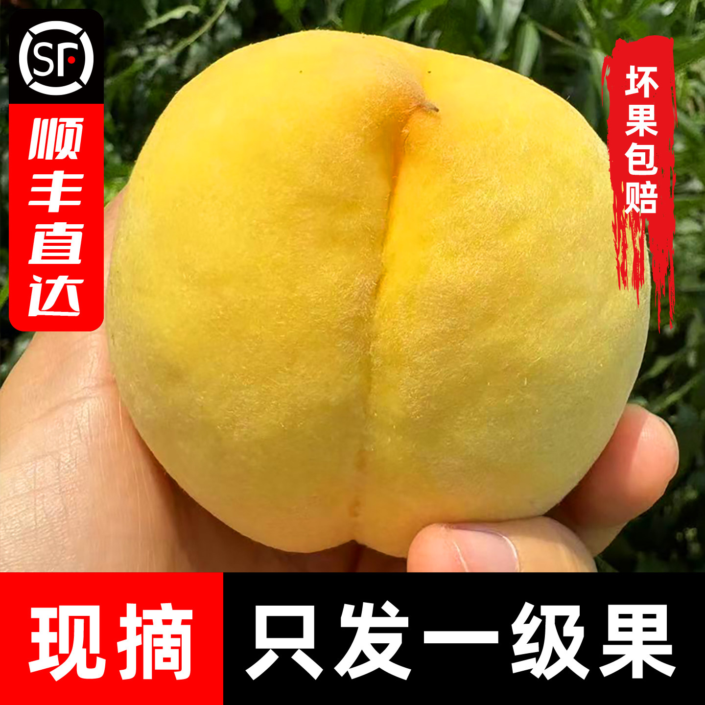 湖北枣阳黄桃帝乡皇桃顺