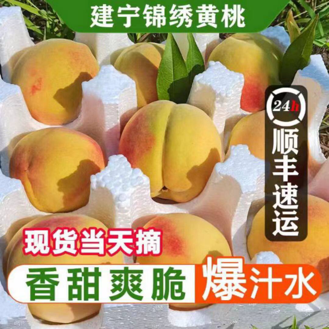 【顺丰包邮】建宁锦绣黄