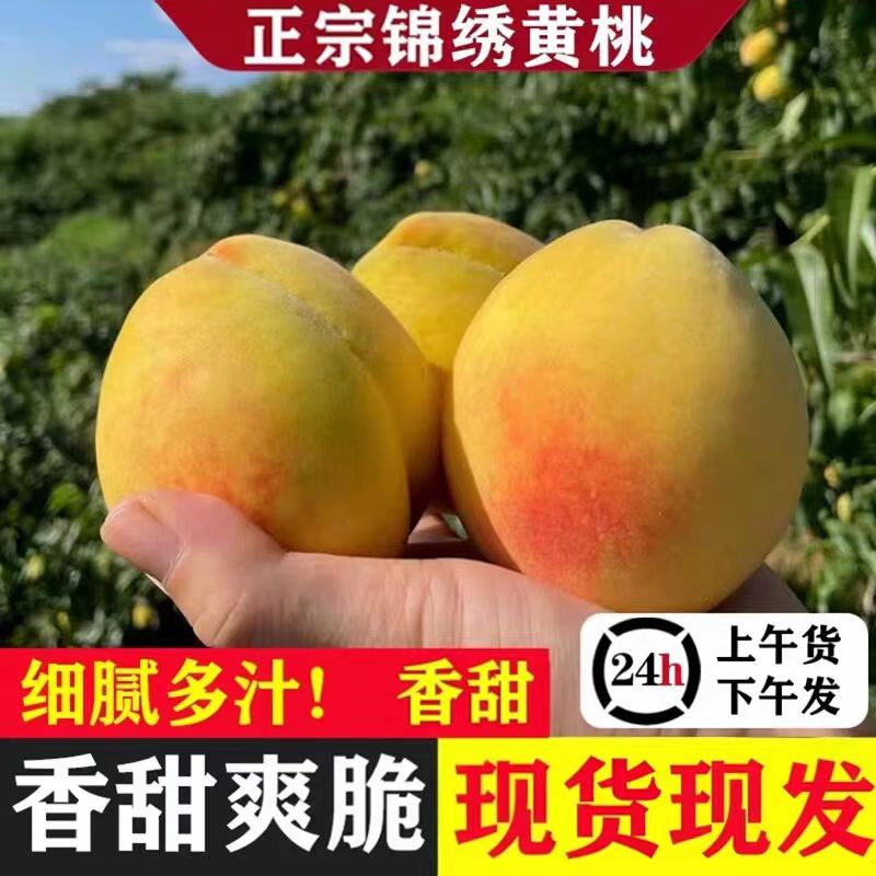 正宗锦绣黄桃纯甜新鲜水
