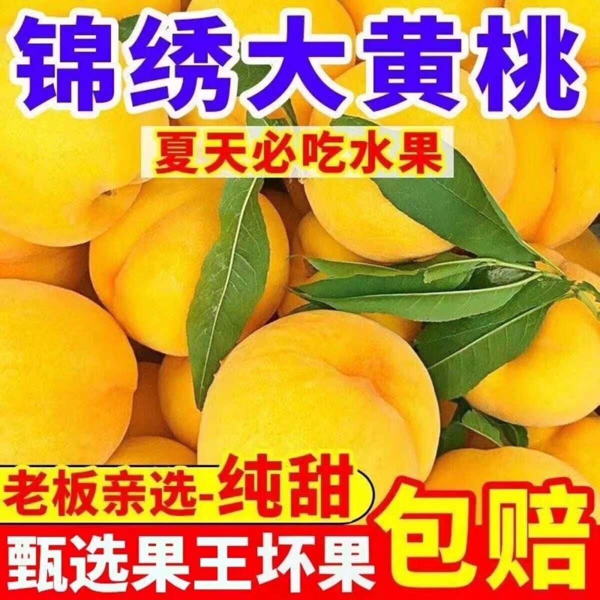 蒙阴锦绣黄桃新鲜水果黄