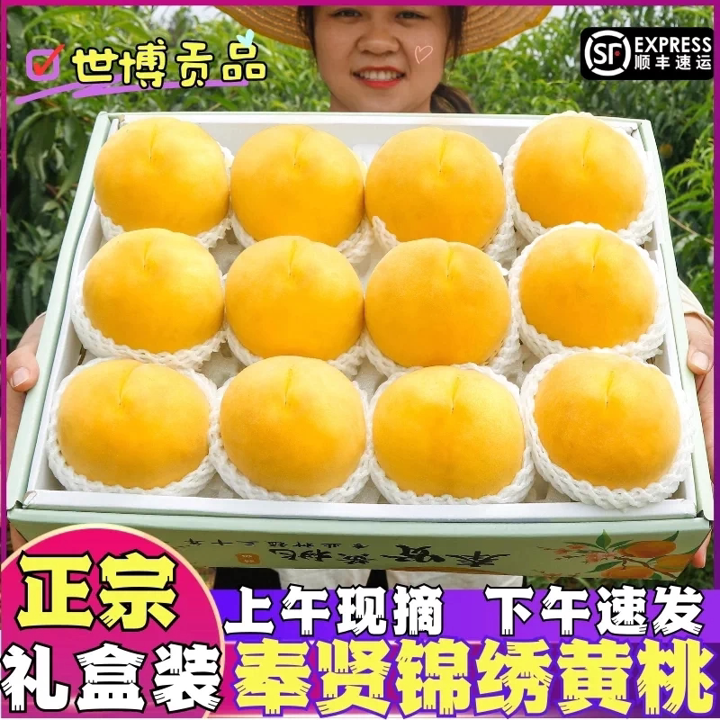 正宗特级上海奉贤锦绣黄