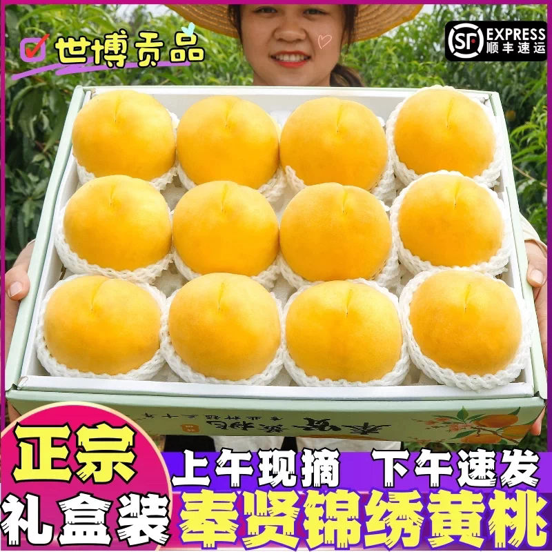 正宗上海奉贤锦绣黄桃当