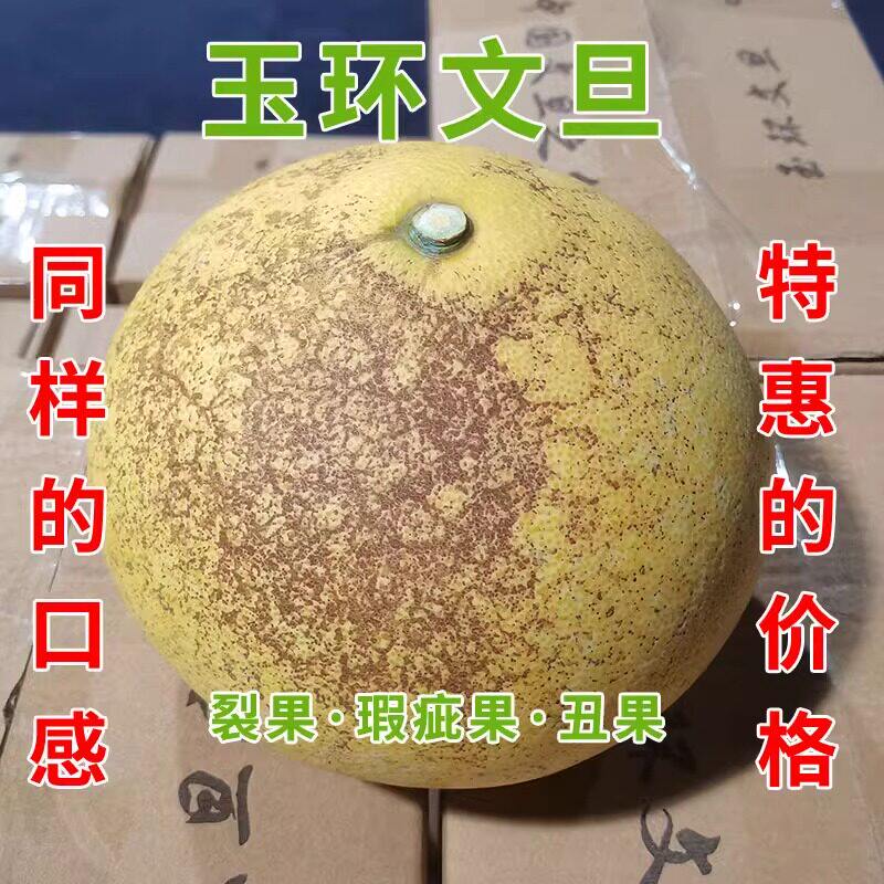 表皮瑕疵正宗玉环文旦柚