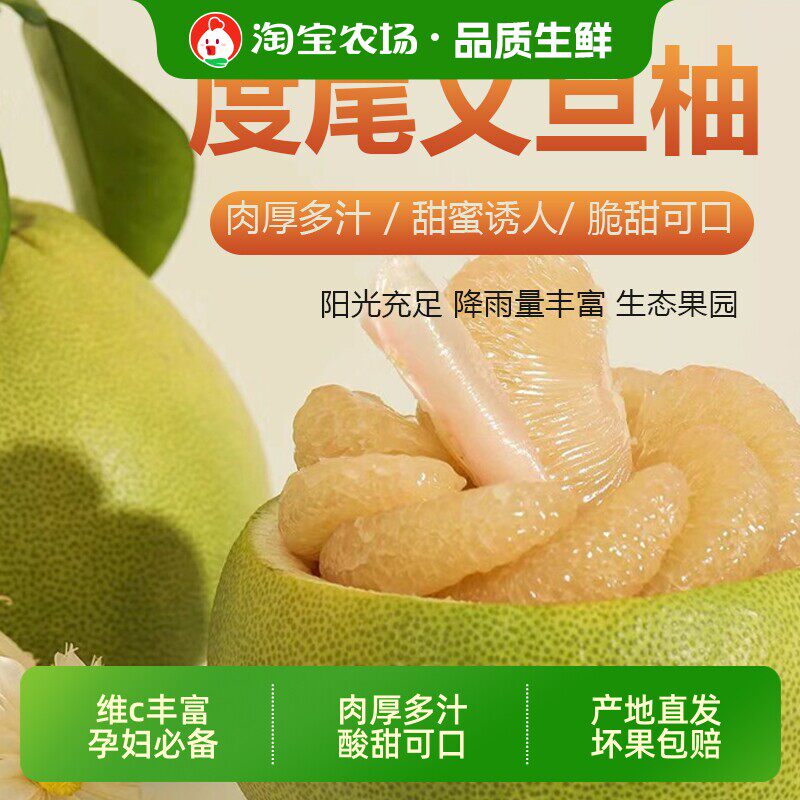 福建度尾老树文旦柚无籽