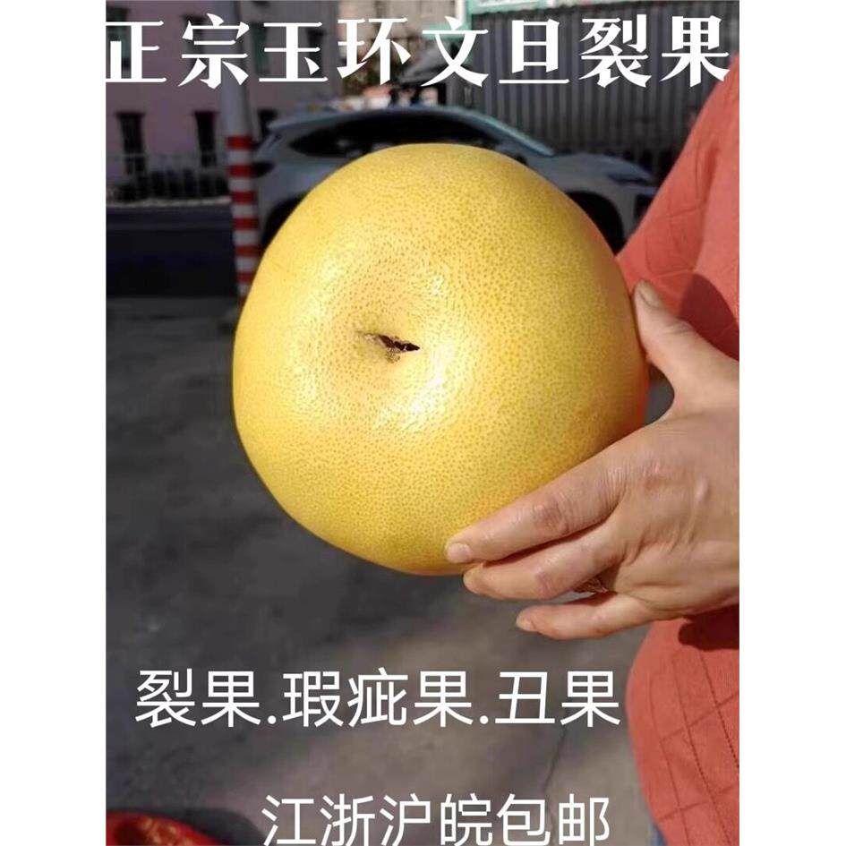 裂果包邮正宗玉环文旦柚