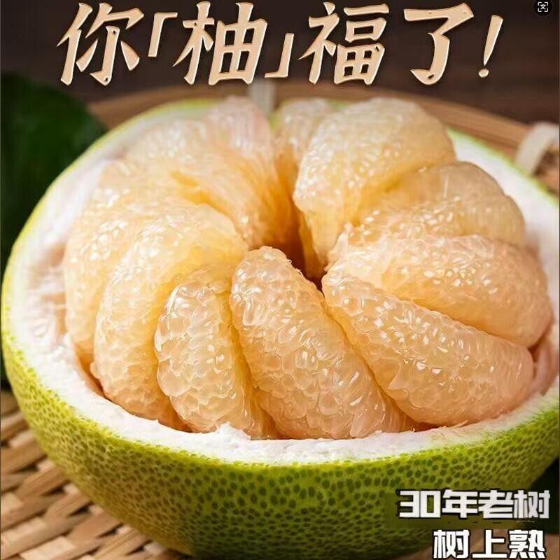 福建莆田仙游度尾文旦柚