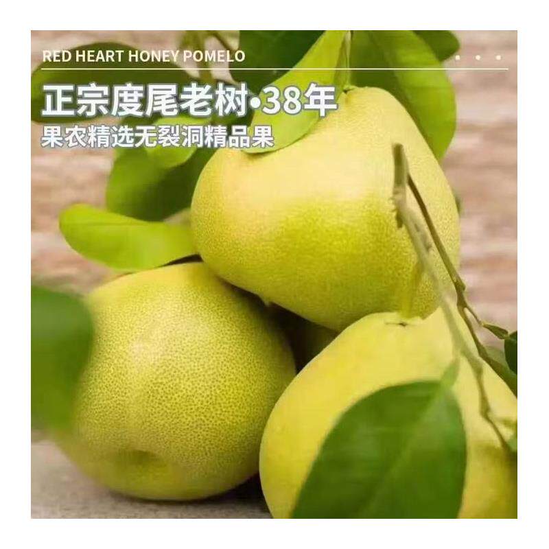 正宗度尾文旦柚福建莆田