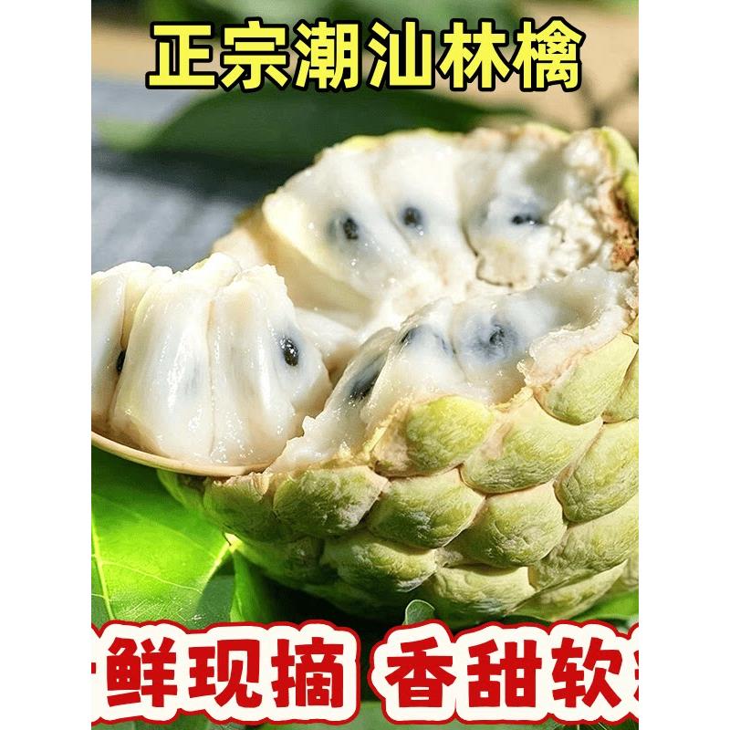 潮汕林檎正宗樟林大目释
