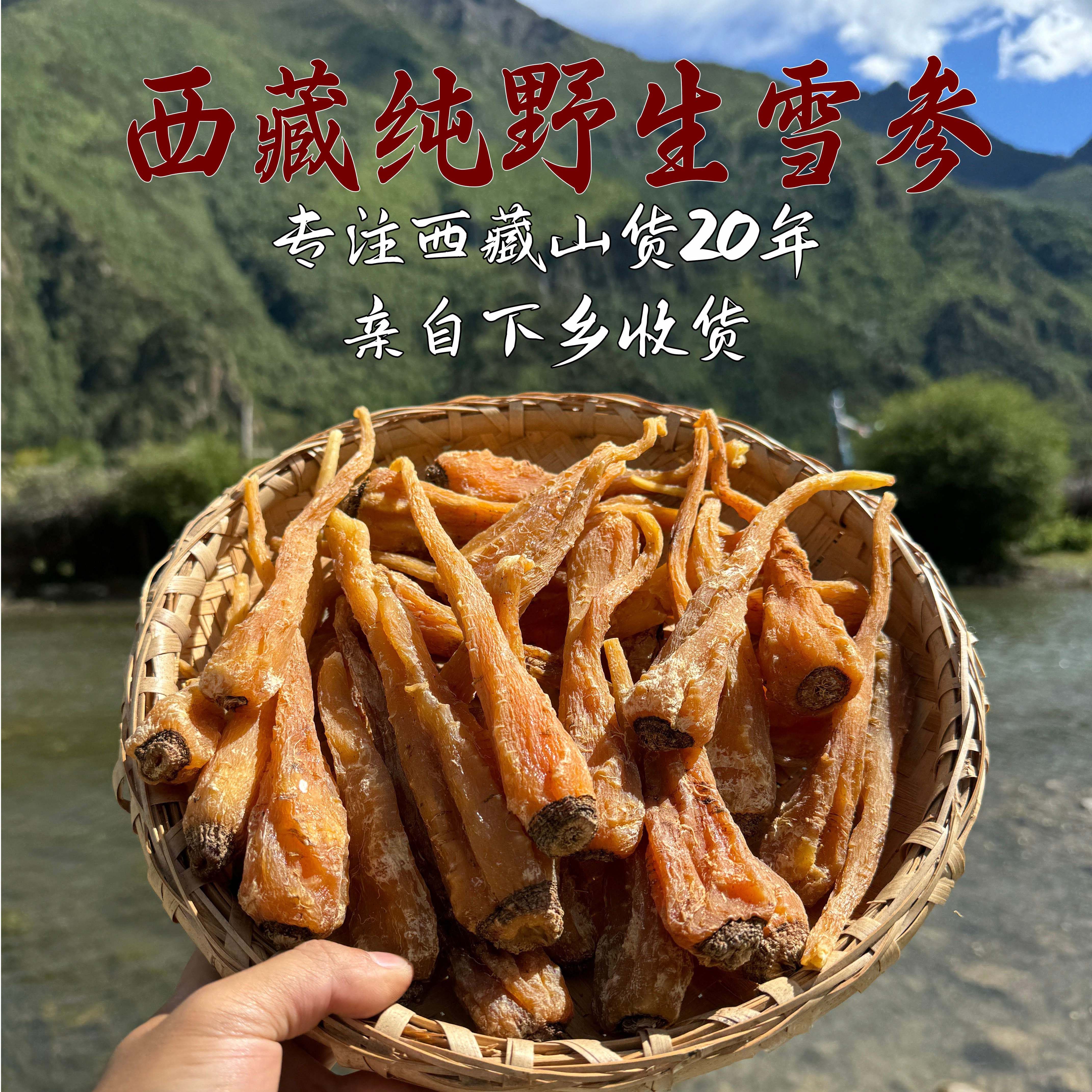 西藏特产藏雪参250g藏血参雪人参玉山参红毛阳刺参传统滋补中药材