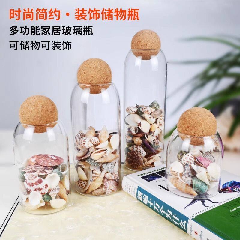 海边收集贝壳玻璃瓶球塞收纳容器瓶子捡贝壳透明瓶游玩捡贝母罐子